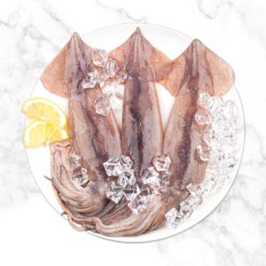 (신선집중) 손질 오징어 파지 파품 1kg 마리수 랜덤 2개 구매 시 초장 증정