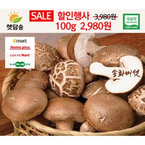 햇담송 고기식감 햇담송화버섯 이마트 롯데마트 품질그대로 100g당 무농약 송이 표고 송고 100g 덤 추가증정