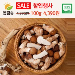 햇담송 참송이버섯 중대사이즈 롯데마트 하나로클럽 품질그대로 무농약 송이향의 고급버섯 100g 덤 추가증정