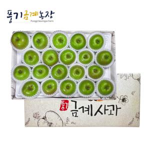 GAP인증 풍기금계농장 고당도 영주 여름사과 정품 아오리사과4kg 16-23과