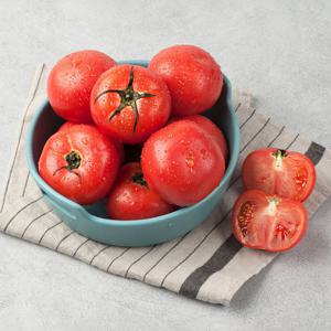 (신선집중) 신선한 찰토마토 정품 3kg 5번(소과)