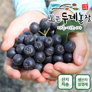 보은두레농장 아로니아생과 농장 직배송 생아로니아