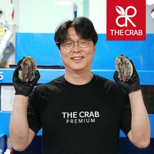 제철 완도 활 전복 1kg 특대왕부터 꼬마전복 당일조업 / 무료배송 초특가