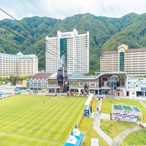 소노벨/소노캄/소노펠리체 비발디파크 레이트 홀리데이PKG (~10/31) 오션월드or조식 or 앤트월드 택1 3인