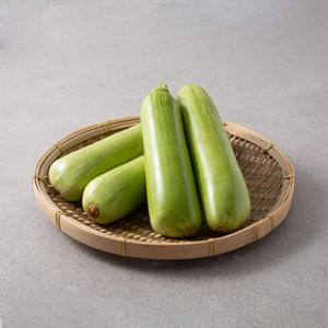 25년 햇 수확 애호박 25년 햇 수확 애호박
