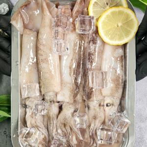 (신선집중) 국내산 제철 미니 오징어 통찜용 냉동 500g 4미~8미 / 1kg 8미~16미