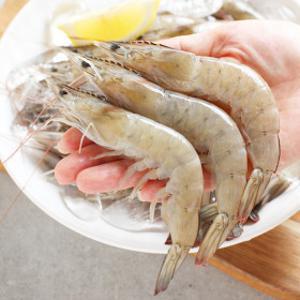 (신선집중) 생물 새우 1kg 30-35미내외 당일새벽 조업분 출고 100%국내산