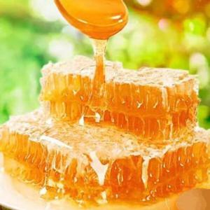 천연 벌집꿀 벌꿀 벌꿀집 명절선물 1kg