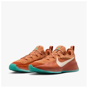 나이키 LEBRON TR 1 BETTER WITH AGE FJ6151-200