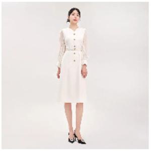 [미니멈]시스루 슬리브 플레어 원피스 (MYCGWO8040 CR7)