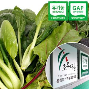 [충북충주] 산지직송 GAP인증 유기농 쌈채소 800g