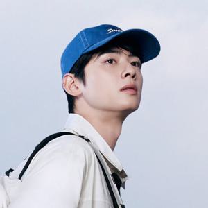 [노스페이스]남녀 티엔에프 코튼 볼 캡 모자NE3CR00D