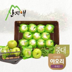 [산지애] 씻어나온 초록사과 (아오리) 2.7kg x 1박스 (총 8~12과)