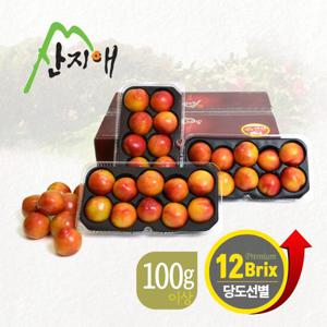 산지애 포모사 자두 3kg