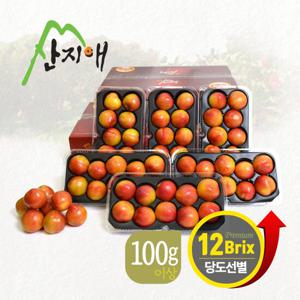 산지애 포모사 자두 6kg (3kg*2박스)