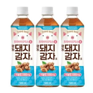 광동 돼지감자차 500ml 20펫