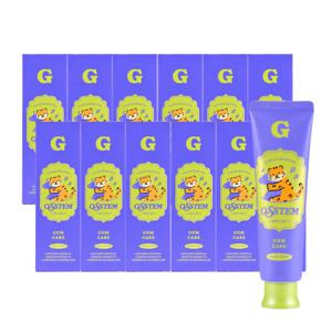 오스템 G 잇몸케어치약 잇몸에 좋은 치약 120g 12개
