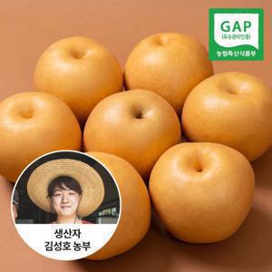 [신선연구소][8/18부터 순차발송]GAP인증 25년 나주 햇배 가정용 5kg 6-10과