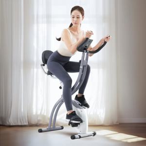 이고진 LPX1 실내 자전거 헬스 사이클 택배발송