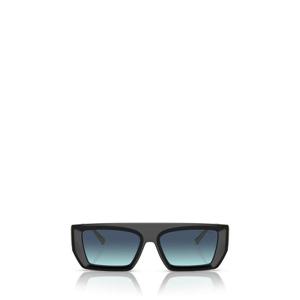 티파니앤코 선글라스 TF4214U 83429S BLACK