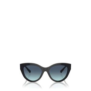티파니앤코 선글라스 TF4220 80019S BLACK