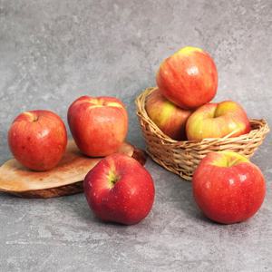 [더조은] 경북 홍로 사과 가정용 3kg 10-14과