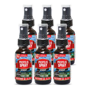 Canada통라이프 프로폴리스스프레이30ml 6병-플라보노이드총500