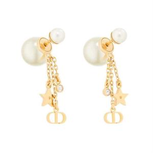디올 Dior Tribales 귀걸이 E4274WOMCY_D03S