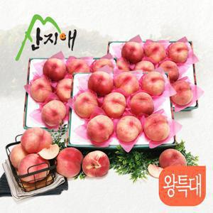 산지애 아삭아삭 햇복숭아 총 9kg (3kg*3box, 총 21~27과, 왕특대)
