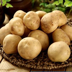 25년 국내산 하우스 햇 감자 3kg (특)