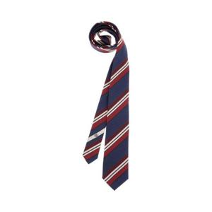 발렌티노 스트라이프 포인티드 팁 타이 6Y2EV194RYG QRQ TP934403482