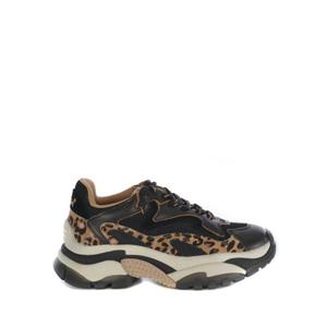 아쉬 스니커즈 ADDICT04BLK LEOPARD Black
