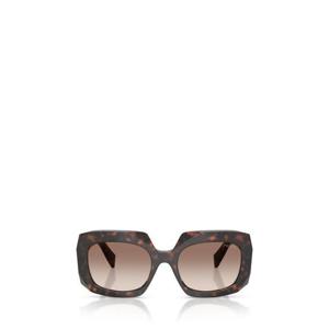 프라다 선글라스 PR B23S 17N10S ROOT TORTOISE