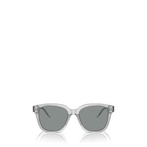 조르지오 아르마니 선글라스 AR8210U 608056 TRANSPARENT GREY