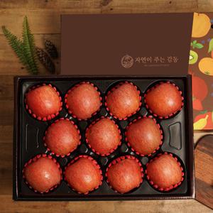 자연의감동 사과 세트 5kg 10-12과 과일선물세트