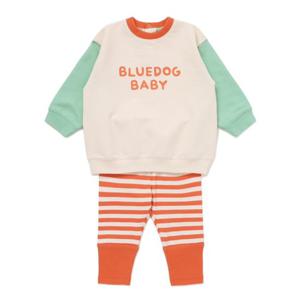 [블루독베이비8] FW25 로고 상하세트 HJ (45A7067223) (BLUEDOG BABY 유아 출산 백일 선물 도트 강아지 내