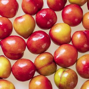[밋앤밀] 경북 영천 산지직송 도담자두 특 2kg(과당 100g 이상)