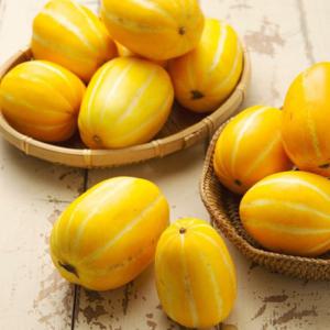 [성주참외원예농협] 참외풍경 성주참외 10kg(가정용24-40과)