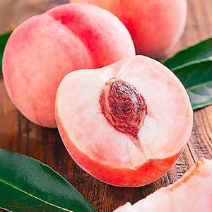 백도 딱딱이 복숭아 2kg
