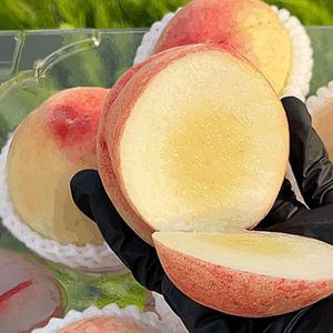 백도 말랑이 복숭아 2kg