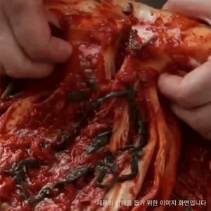 [도미솔] 박미희 포기김치 8kg