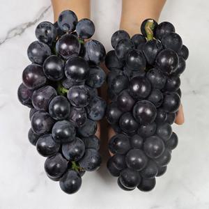 산지직송 천안 입장거봉 2kg