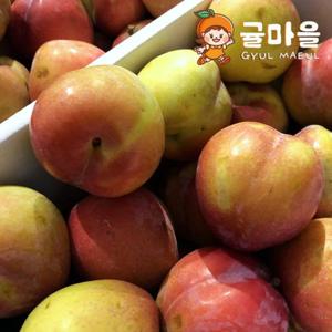 귤마을 신선한 후무사자두 5kg 중대과