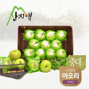 산지애 씻어나온 초록사과 2.7kg 1box / 봉지 세척사과, 아오리 사과