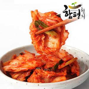 [푸른들] 양념한가득 전라도 함평김치 맛김치 1kg