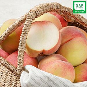 갤러리아_GAP인증 경북영천 백도 딱딱이 복숭아 2kg 8-9과