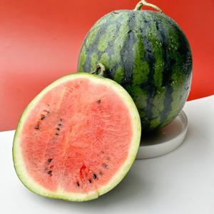 시원달달 고당도 꿀 수박 정품 3-4kg 산지직송