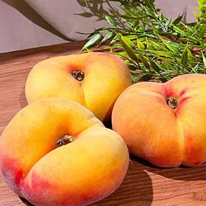 비비드 납작복숭아 1kg (5~8과)