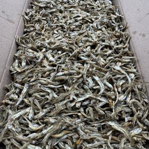 [명화씨푸드] 볶음 조림 큰가이리멸치 1.5kg