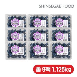 [신세계푸드] 캐나다 생 블루베리 125gX9팩, 총 1.125kg